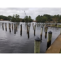 King tide Chesapeake image